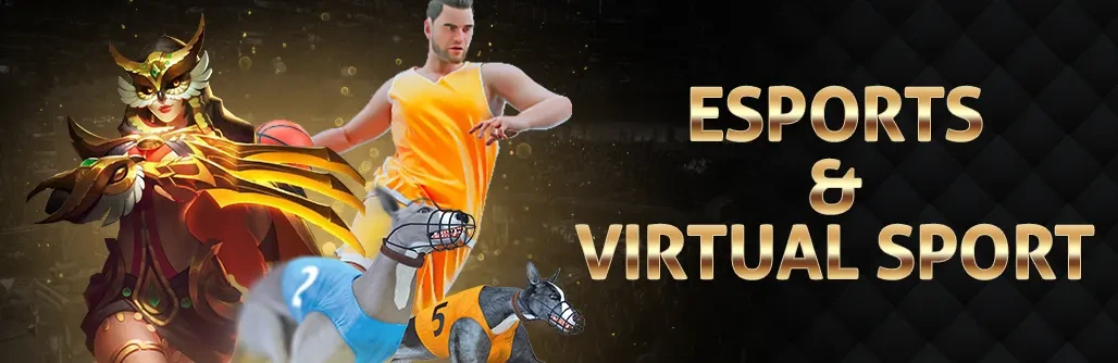 Live Casino Live Casino